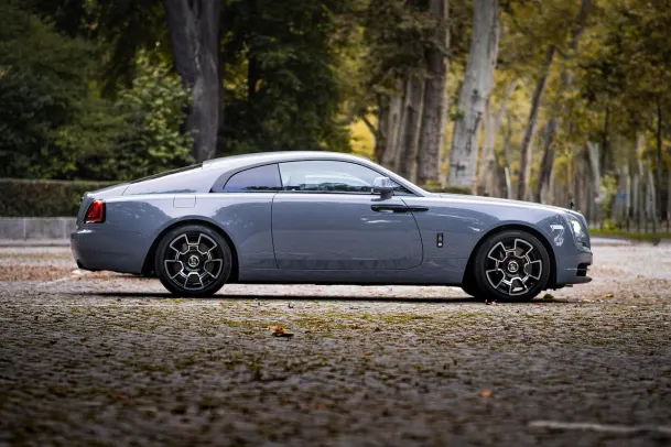 Wolfy Casino Android/iOS Forrit